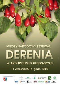 Plakat Festiwal Derenia