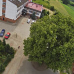 Lipa Julianka-Lipinianka